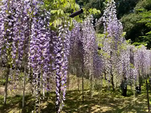 天台宗 五大山 白毫寺(兵庫県)