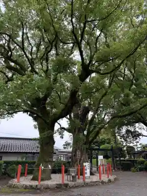 美奈宜神社(福岡県)