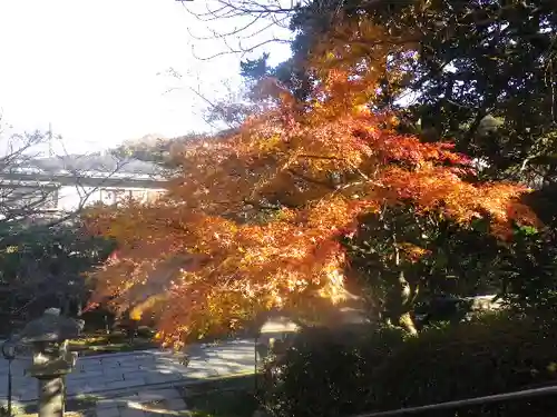 長勝寺の景色