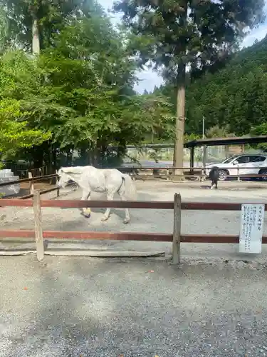 丹生川上神社（下社）(奈良県)