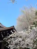 靖國神社の{uncategorized: "未分類", other: "その他", undefined: "問題あり", building: "その他建物", grave: "お墓", sacred_gate: "鳥居", guardian: "狛犬", statue: "像", buddha: "仏像", history: "歴史", nature: "自然", garden: "庭園", animal: "動物", pagoda: "塔", temizu: "手水舎", mountain_gate: "山門・神門", sanctuary: "本殿・本堂", subordinate: "末社・摂社", art: "芸術", scenery: "景色", jizo: "地蔵", ema: "絵馬", goshuin: "御朱印", omikuji: "おみくじ", items: "授与品その他", amulet: "お守り", goshuincho: "御朱印帳", eats: "食事", festival: "お祭り", votive_dance: "神楽", shichigosan: "七五三参", wedding: "結婚式", experience: "体験その他", initially: "初詣", around: "周辺", anti_infection: "感染症対策"}