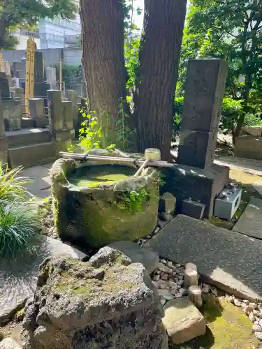 善雄寺(東京都)