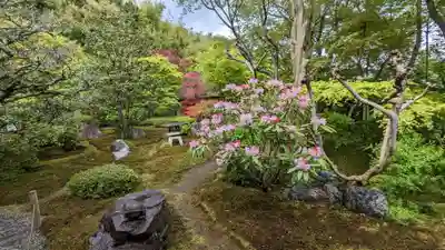 華厳寺(鈴虫寺)(京都府)