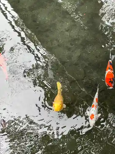 鈴鹿明神社(神奈川県)