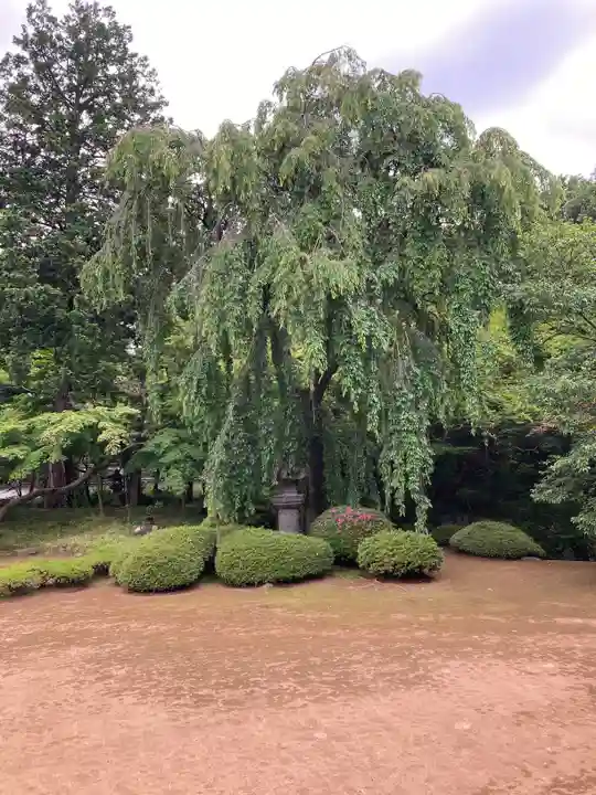 喜多院(埼玉県)