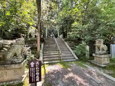 美具久留御魂神社(大阪府)