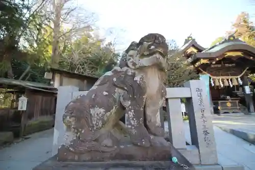 春日部八幡神社の狛犬