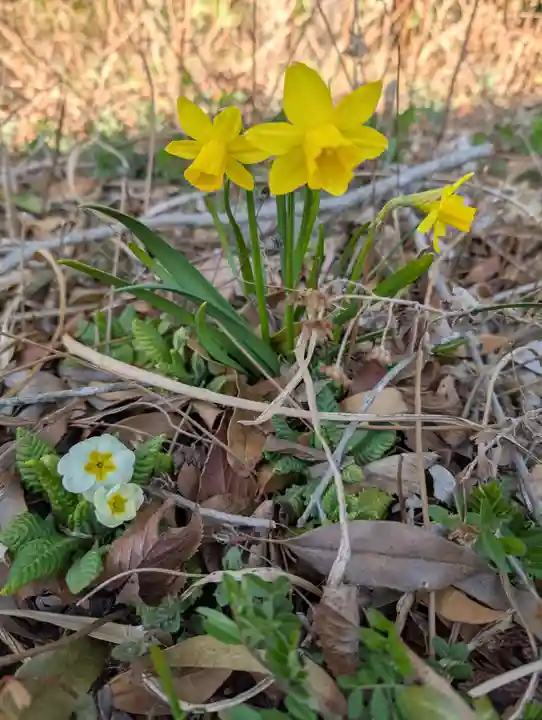 豊景神社(福島県)