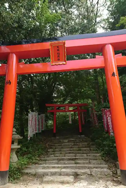 天開稲荷社の鳥居