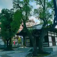 橘樹神社の本殿