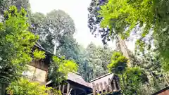 鏡神社(京都府)