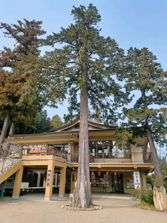 高麗神社の{uncategorized: "未分類", other: "その他", undefined: "問題あり", building: "その他建物", grave: "お墓", sacred_gate: "鳥居", guardian: "狛犬", statue: "像", buddha: "仏像", history: "歴史", nature: "自然", garden: "庭園", animal: "動物", pagoda: "塔", temizu: "手水舎", mountain_gate: "山門・神門", sanctuary: "本殿・本堂", subordinate: "末社・摂社", art: "芸術", scenery: "景色", jizo: "地蔵", ema: "絵馬", goshuin: "御朱印", omikuji: "おみくじ", items: "授与品その他", amulet: "お守り", goshuincho: "御朱印帳", eats: "食事", festival: "お祭り", votive_dance: "神楽", shichigosan: "七五三参", wedding: "結婚式", experience: "体験その他", initially: "初詣", around: "周辺", anti_infection: "感染症対策"}