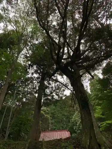 神明神社の庭園