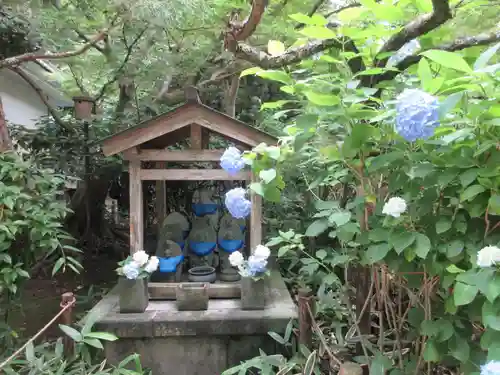 明月院(神奈川県)