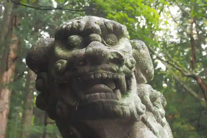 戸隠神社宝光社の狛犬