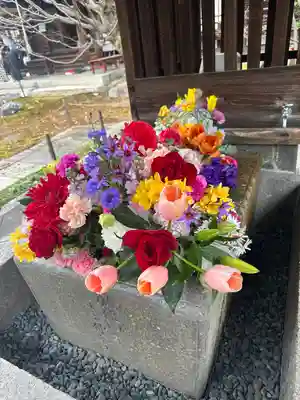 勝林寺(京都府)