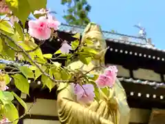 恵明寺(長野県)