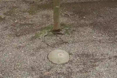 鹿島神宮(茨城県)