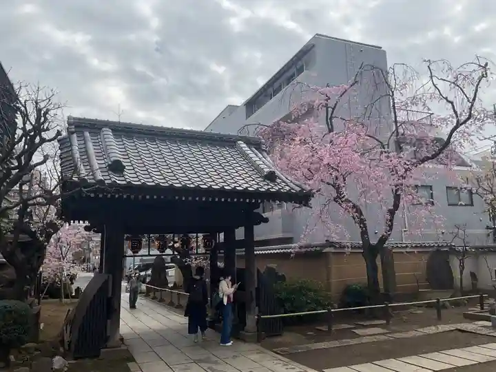新井薬師(梅照院)(東京都)