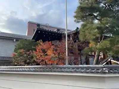 妙玄寺(京都府)