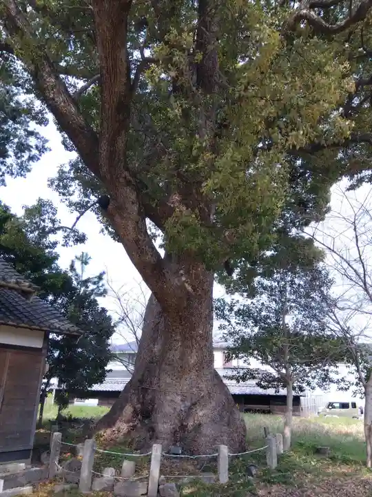 八面神社(愛知県)