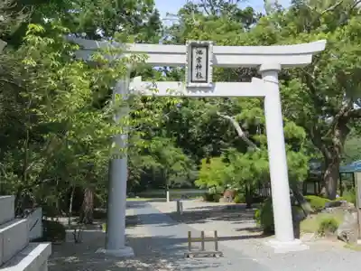 桜ヶ池池宮神社の鳥居