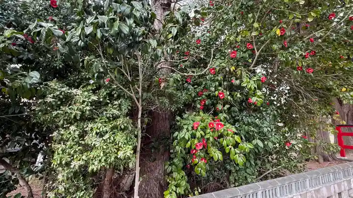 於呂閇志胆澤川神社(岩手県)