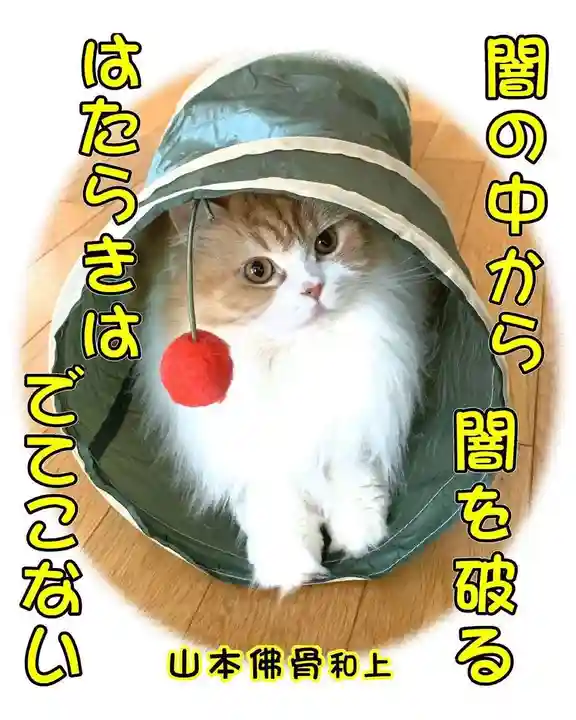 西教寺(下松駅徒歩5分)(山口県)