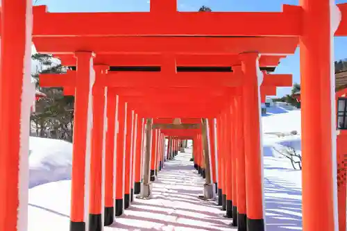 高屋敷稲荷神社の鳥居