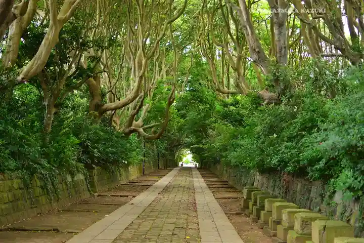 酒列磯前神社(茨城県)