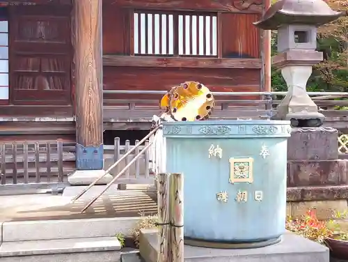 妙蓮寺(神奈川県)