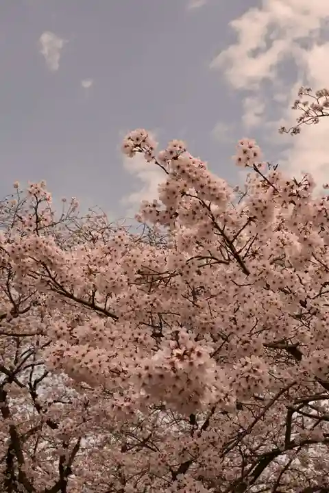 久妙寺(愛媛県)