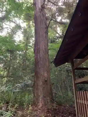 妙見神社(千葉県)
