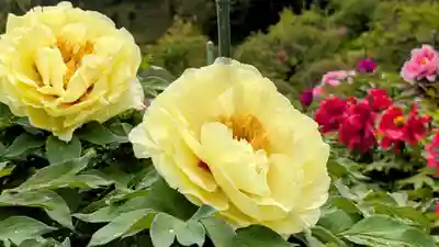 金蛇水神社(宮城県)