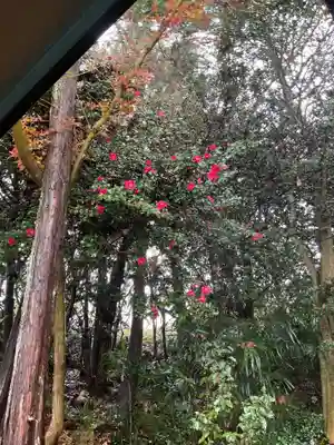 尻冷し地蔵(愛知県)