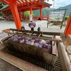 熊野那智大社(和歌山県)