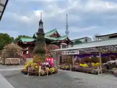 亀戸天神社の庭園