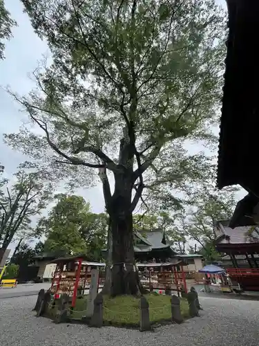 上野総社神社(群馬県)