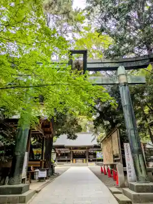 平塚八幡宮の{uncategorized: "未分類", other: "その他", undefined: "問題あり", building: "その他建物", grave: "お墓", sacred_gate: "鳥居", guardian: "狛犬", statue: "像", buddha: "仏像", history: "歴史", nature: "自然", garden: "庭園", animal: "動物", pagoda: "塔", temizu: "手水舎", mountain_gate: "山門・神門", sanctuary: "本殿・本堂", subordinate: "末社・摂社", art: "芸術", scenery: "景色", jizo: "地蔵", ema: "絵馬", goshuin: "御朱印", omikuji: "おみくじ", items: "授与品その他", amulet: "お守り", goshuincho: "御朱印帳", eats: "食事", festival: "お祭り", votive_dance: "神楽", shichigosan: "七五三参", wedding: "結婚式", experience: "体験その他", initially: "初詣", around: "周辺", anti_infection: "感染症対策"}