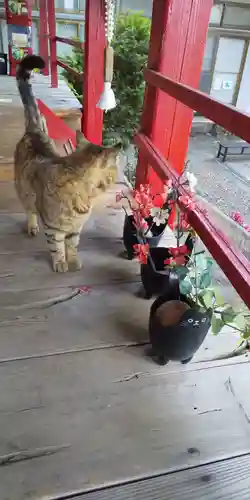 鹿角八坂神社の動物