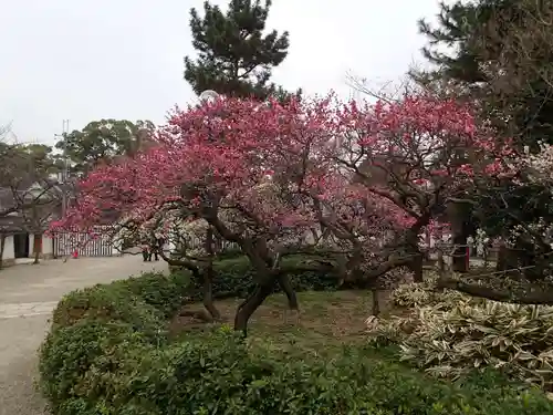 道明寺天満宮の庭園