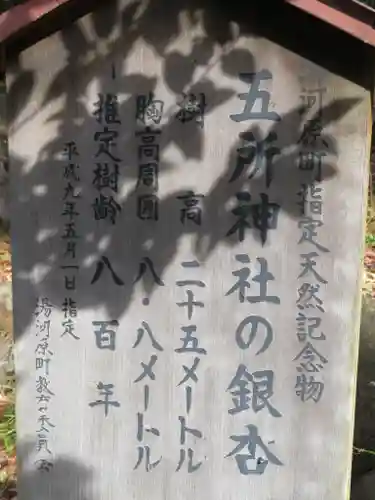 五所神社のその他建物
