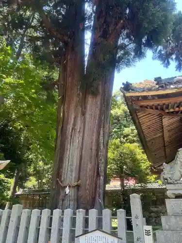 伊富岐神社(岐阜県)