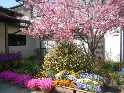 向福寺の庭園