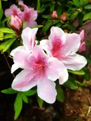 神足寺(東京都)