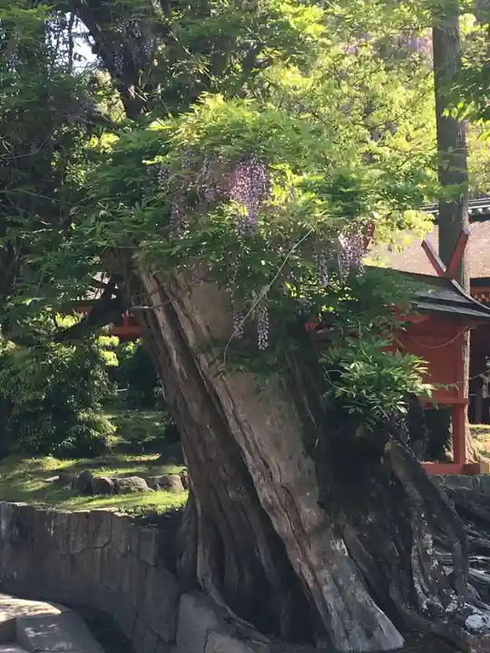 春日大社の庭園