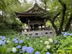 妙楽寺の建物その他