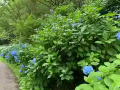 持寳院(多気不動尊)の自然