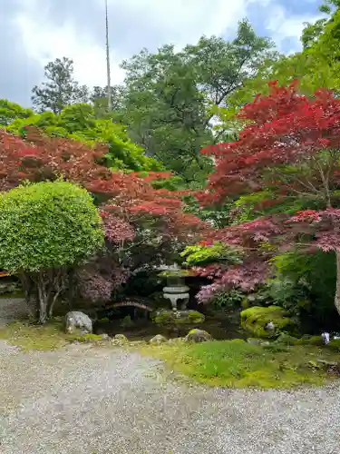 龍泉寺(奈良県)