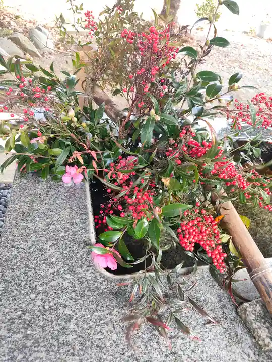 高司神社〜むすびの神の鎮まる社〜(福島県)